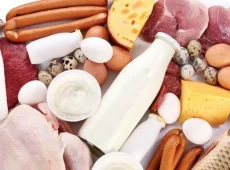 Белковые продукты (курятина, говядина, печень, потроха, морская рыба, кисломолочная группа)