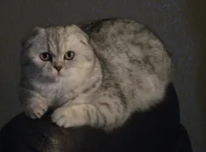 Шесть месяцев