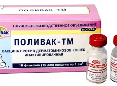 Поливак