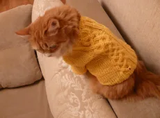 Свитер