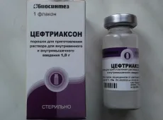 Цефтриаксон для кошек