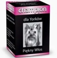 CHAMPION