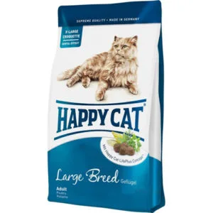 Happy cat
