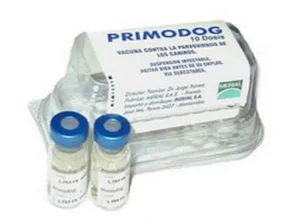Primodog