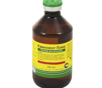 Квинокол