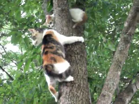 Вверх или вниз?