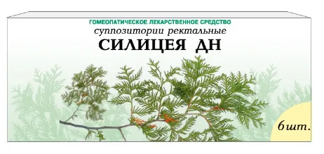 Силицея