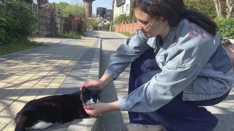 Как подзывают кошек в разных странах и что будет, если русского кота позвать на немецком