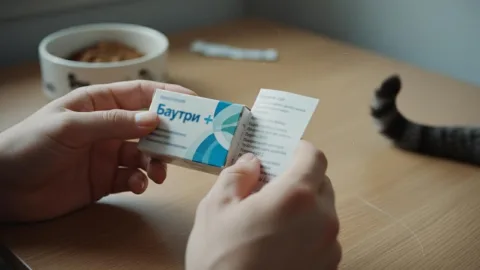 «Байтрил» для кошек: инструкция по применению
