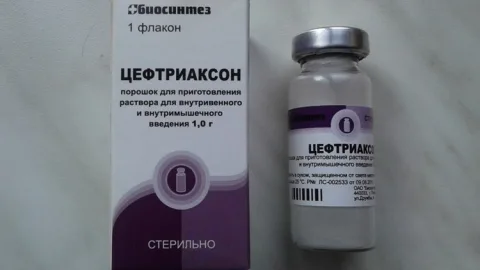 Цефтриаксон для кошек
