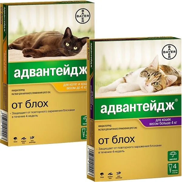 Адвантейдж для кошек