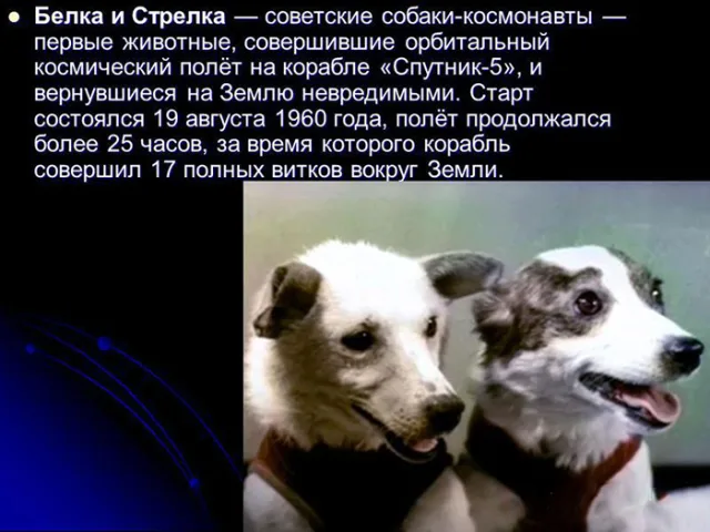 Кто такие Белка и Стрелка