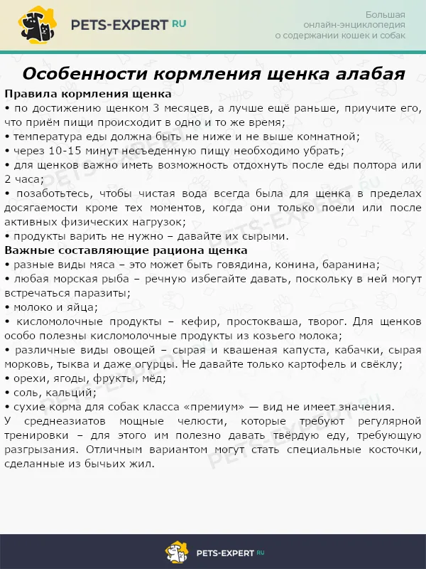 Особенности кормления щенка алабая