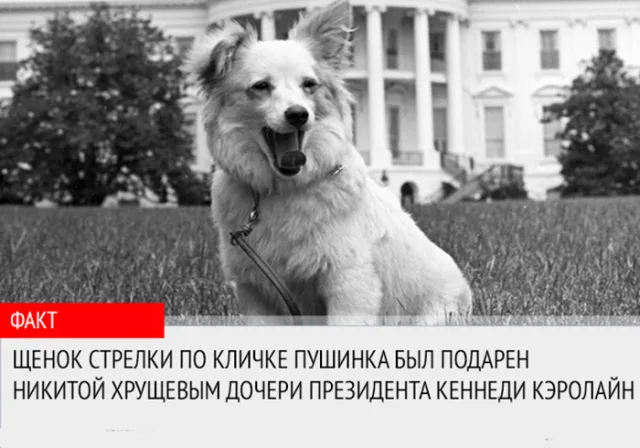 Подарок Никиты Хрущева Кеннеди Кэролайн