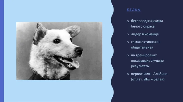 Характеристики Белки