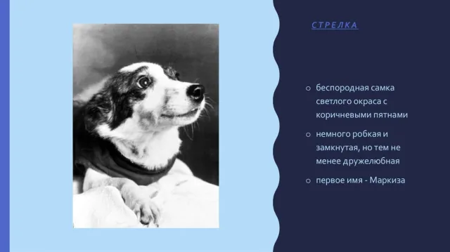 Характеристики Стрелки