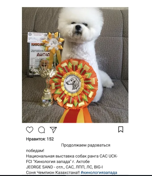 Чемпион Казахстана