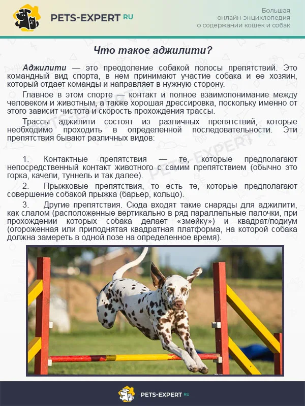 Что такое аджилити?