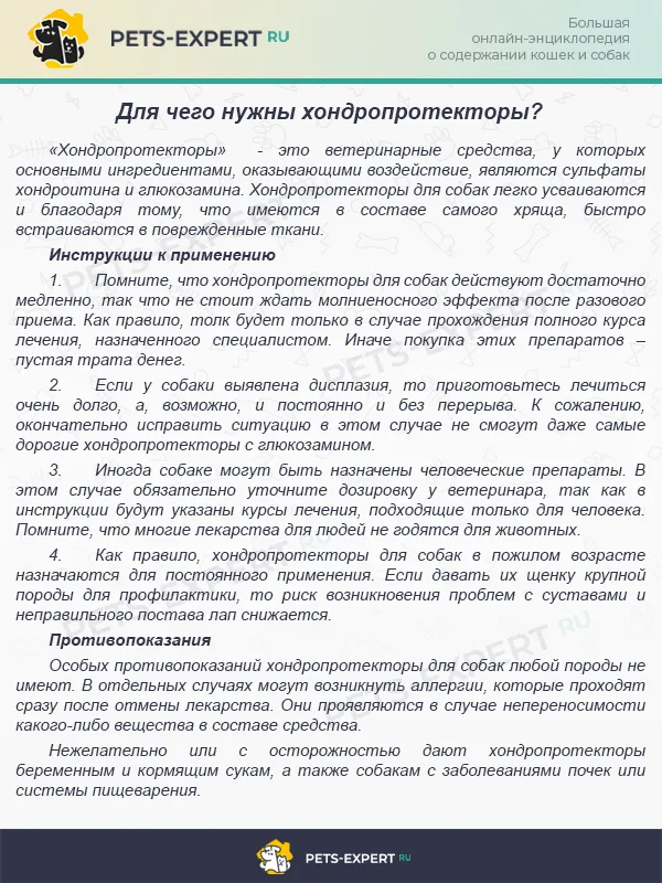 Зачем нужны хондопротекторы