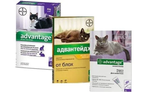 В среднем цена на одну дозу варьируется от 150 до 250 рублей