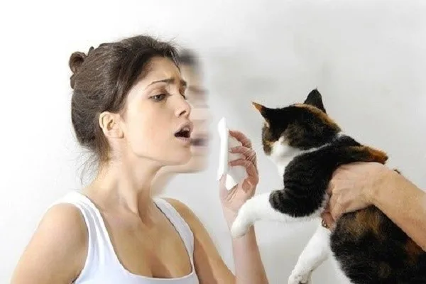 Аллергия на кошек