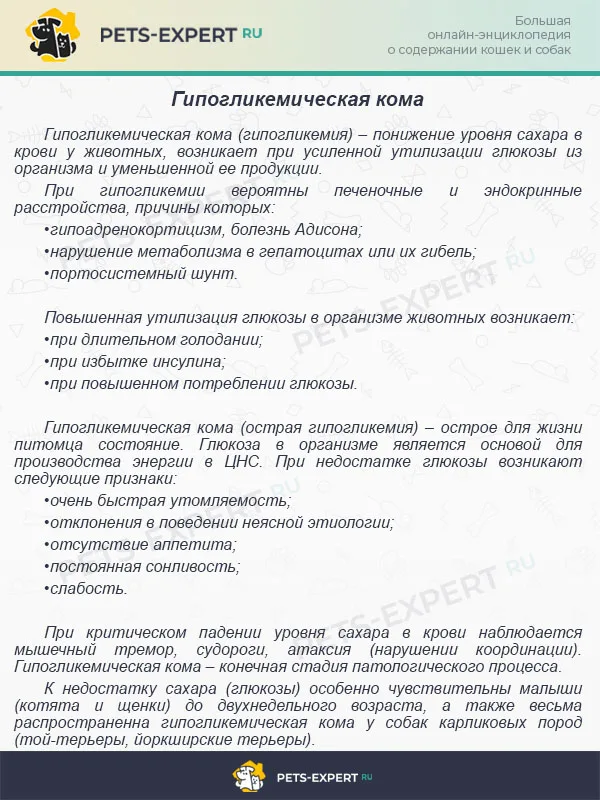 Гипогликемическая кома