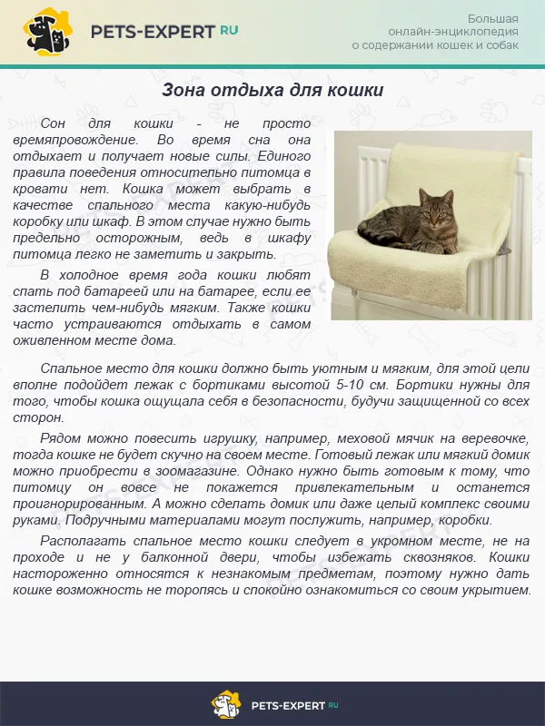 Уголок для кошки