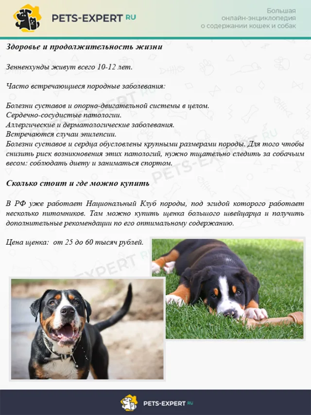 Здоровье и продолжительность жизни