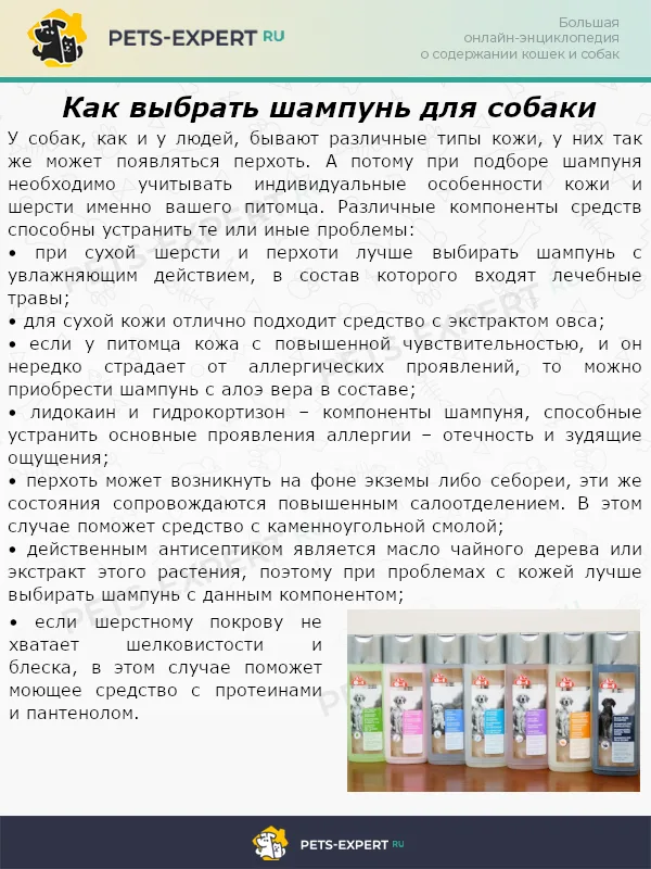 Как выбрать шампунь для собаки
