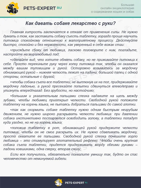 Как дать собаке таблетку