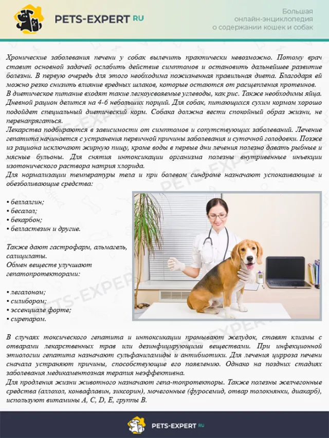 Лечение и правильное питание при заболевании