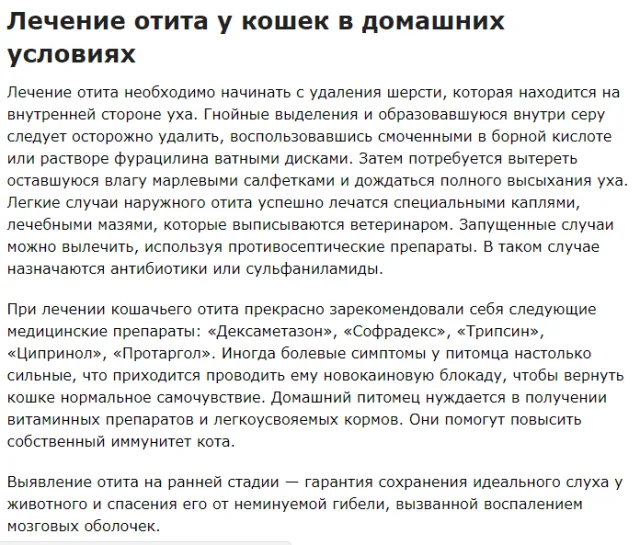 Лечение отита у кошек в домашних условиях