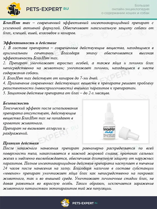 Описание БлохНэт max