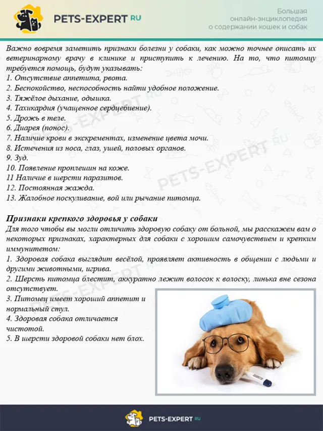 Основные симптомы плохого самочувствия