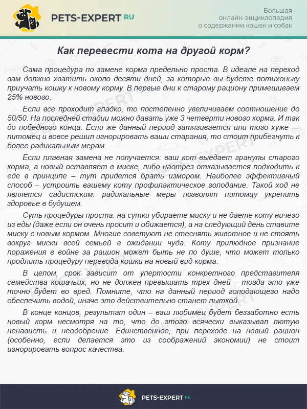 Перевод питомца на новый корм