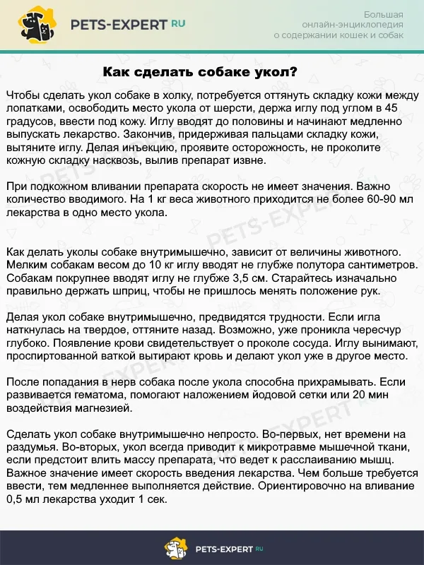 Подкожные и внутримышечные уколы собаке