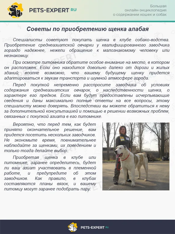 Покупка щенков у заводчиков