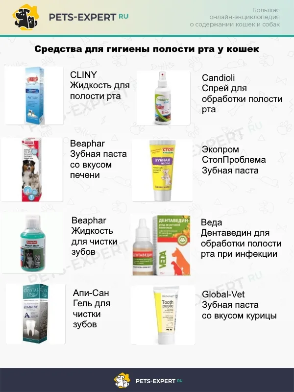 Популярные средства для ухода за полостью рта кошек