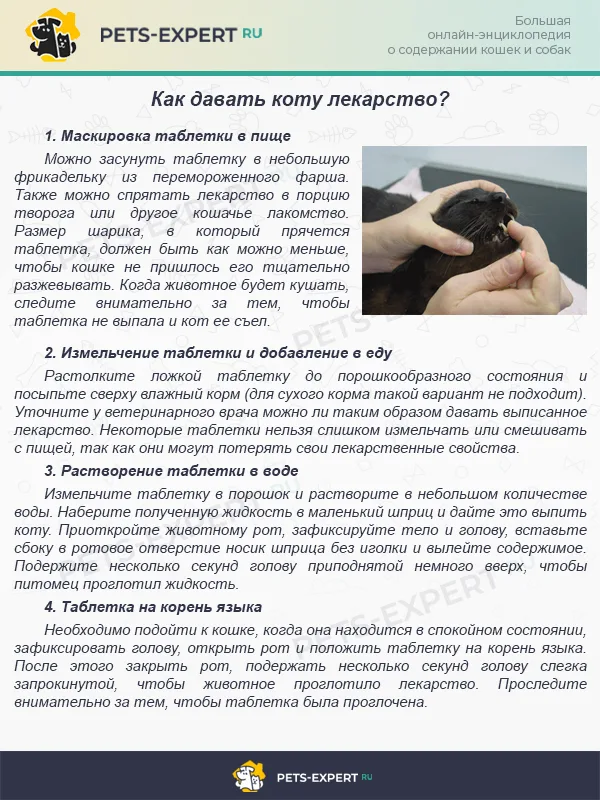Приучаем кота к принятию таблеток