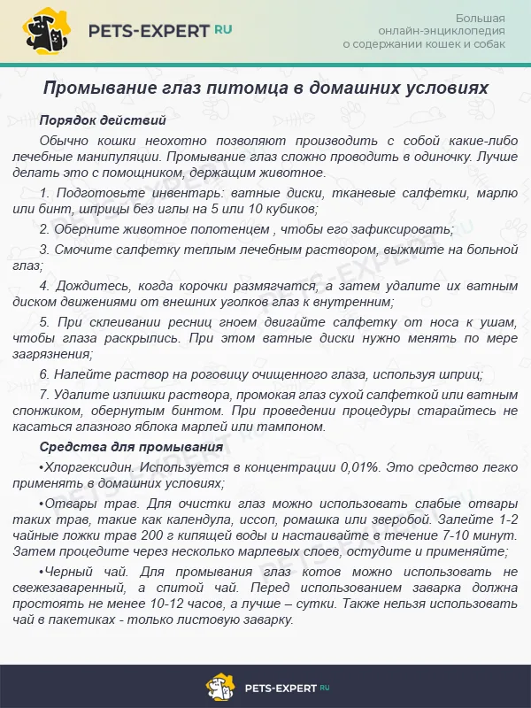 Промывание глаз питомца