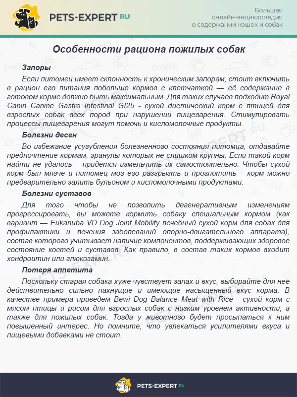 Рацион питания пожилой таксы
