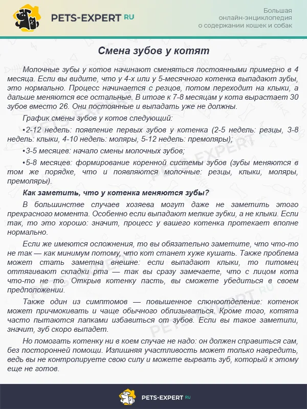 Смена молочных зубов у котят