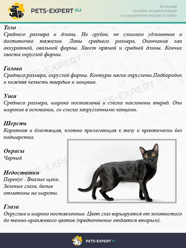 Стандарт WCF для породы BOM