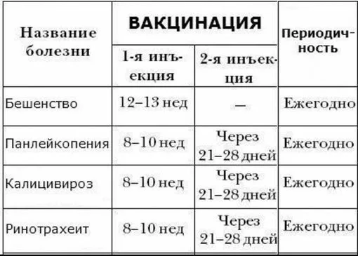 Схема вакцинаций