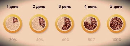 Схема смены корма для той-терьера