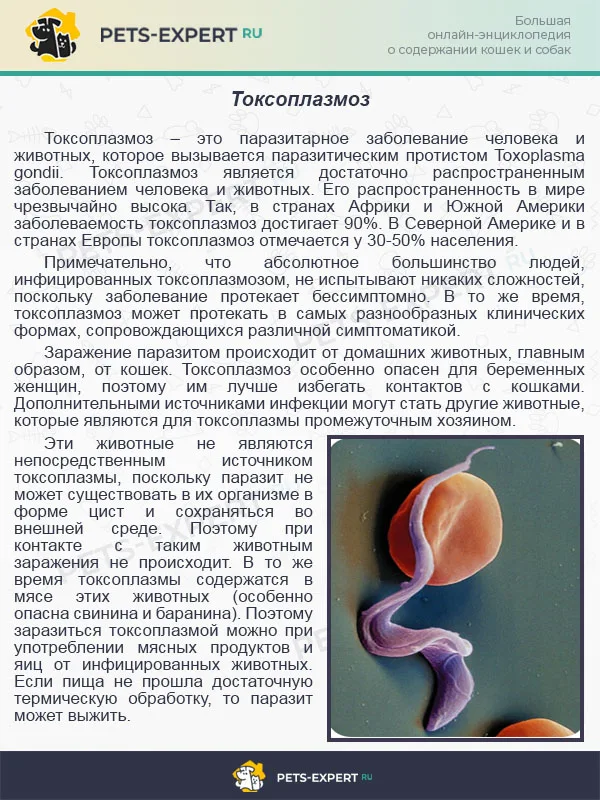 Токсоплазмоз