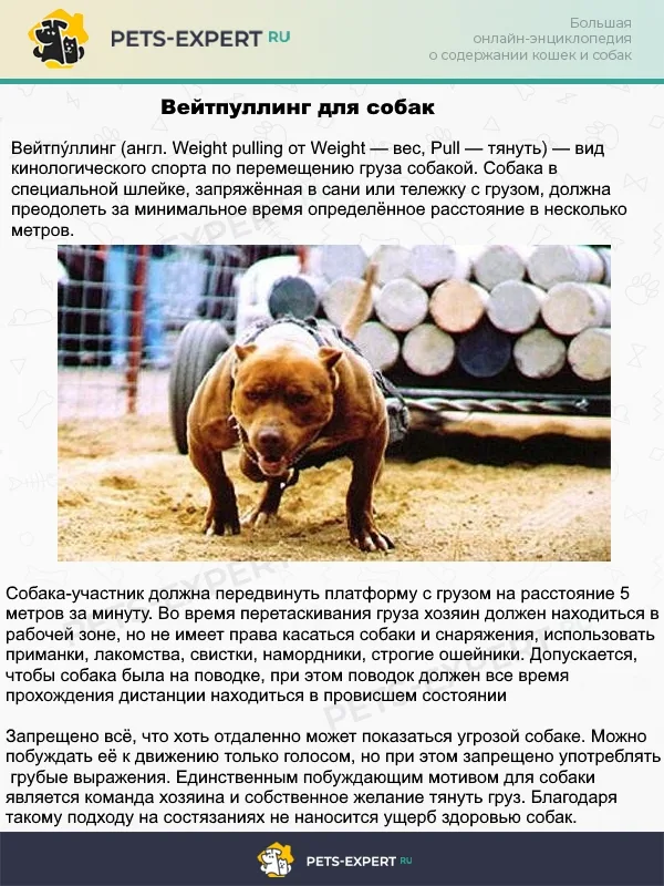 Тяжёлая атлетика для собак