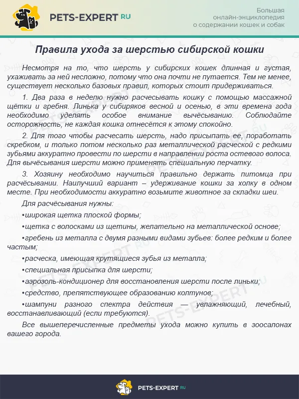 Уход за шерстью сибирской кошки