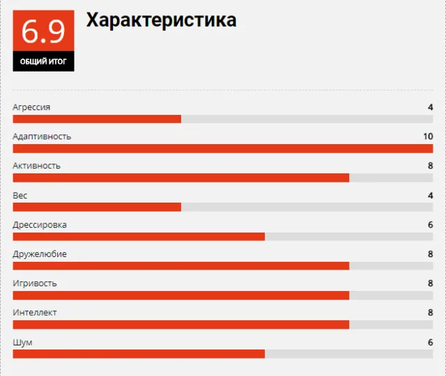 Характеристика бомбейской кошки