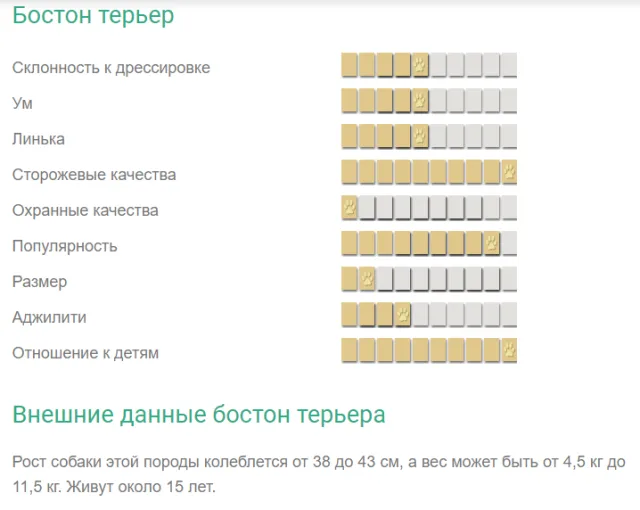 Характеристика породы бостон-терьер